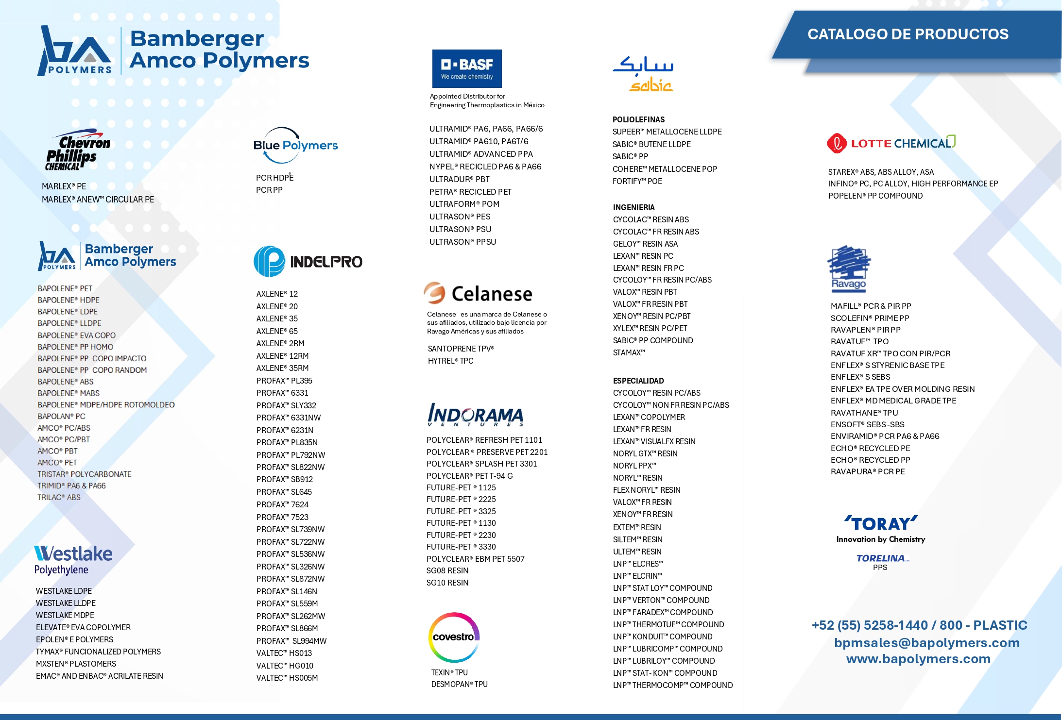 Descripción de la imagen